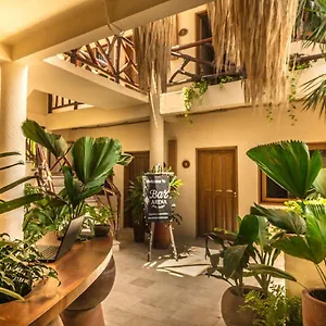 Arena 4*, Isla Holbox México